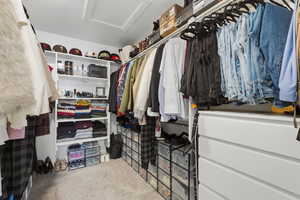 Walk-in closet featuring built-in shelving, hanging rods, an integrated chest of drawers, and carpeted flooring