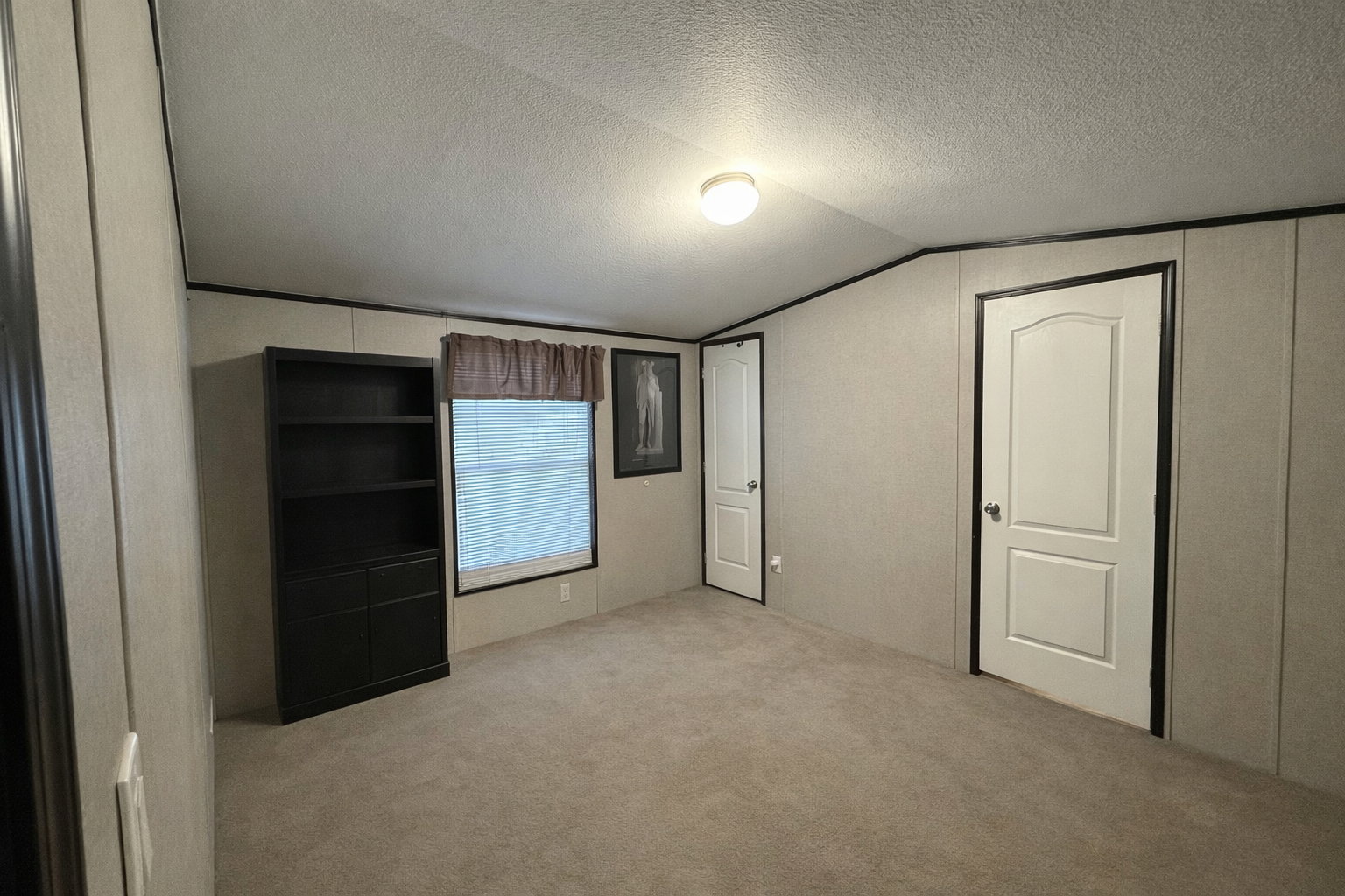 Carpeted room with light neutral walls and dark accent trim