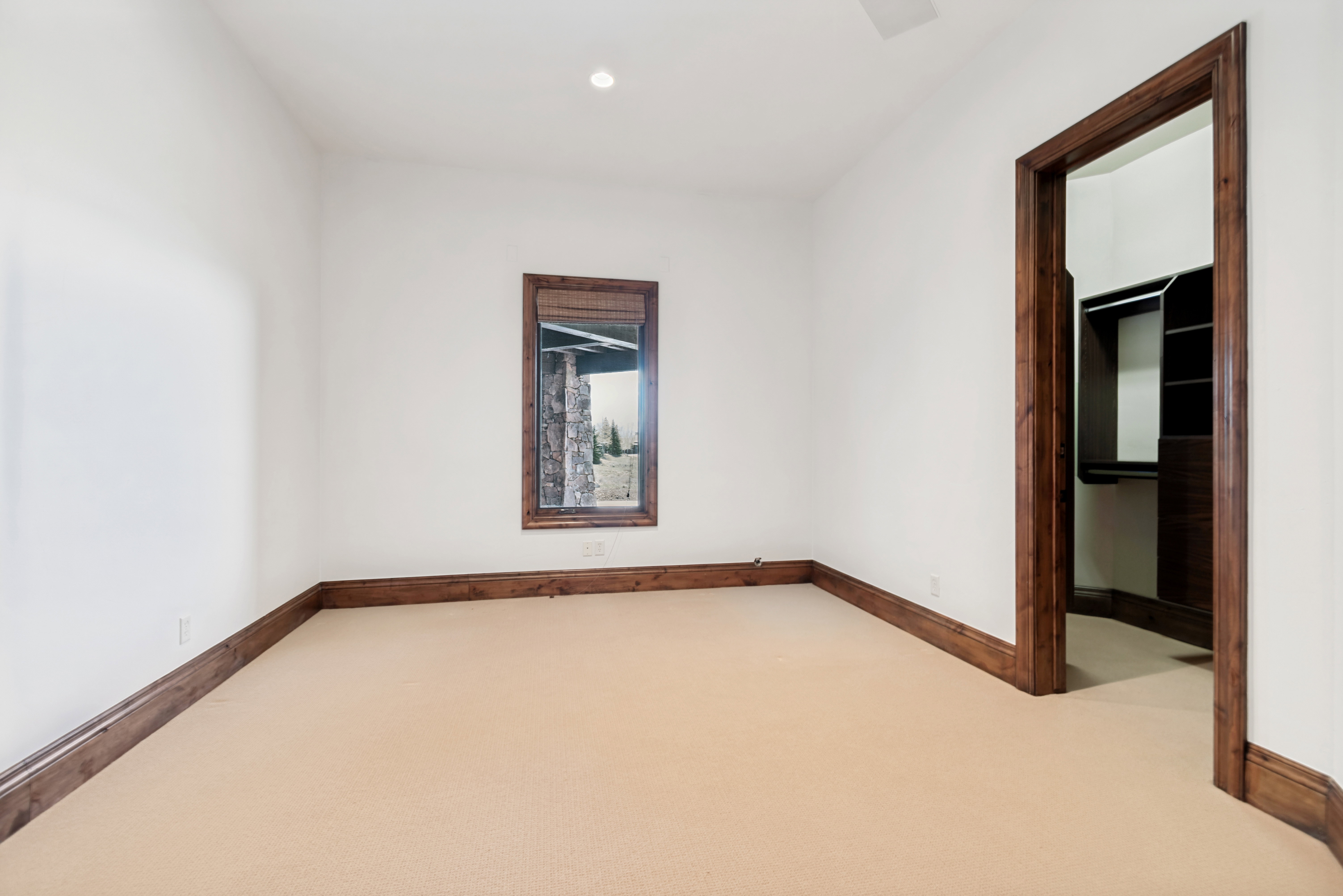 Open room with beige carpeting, white walls, and dark wood trim
