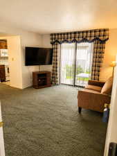 Green shag carpeting throughout