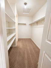 Walk-in closet with built-in shelving, carpet flooring, a clothing rod, and ceiling-mounted light fixture