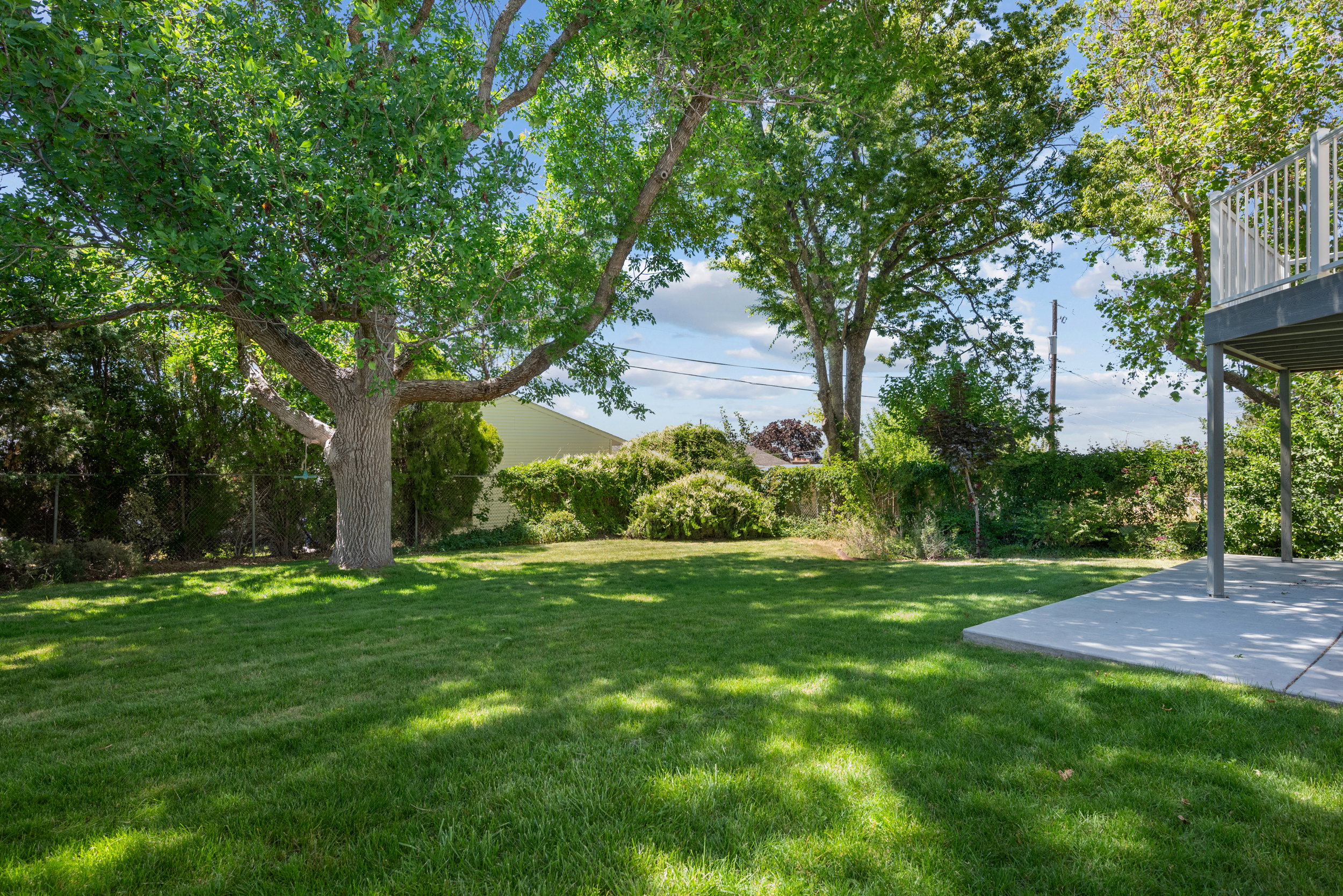Yard