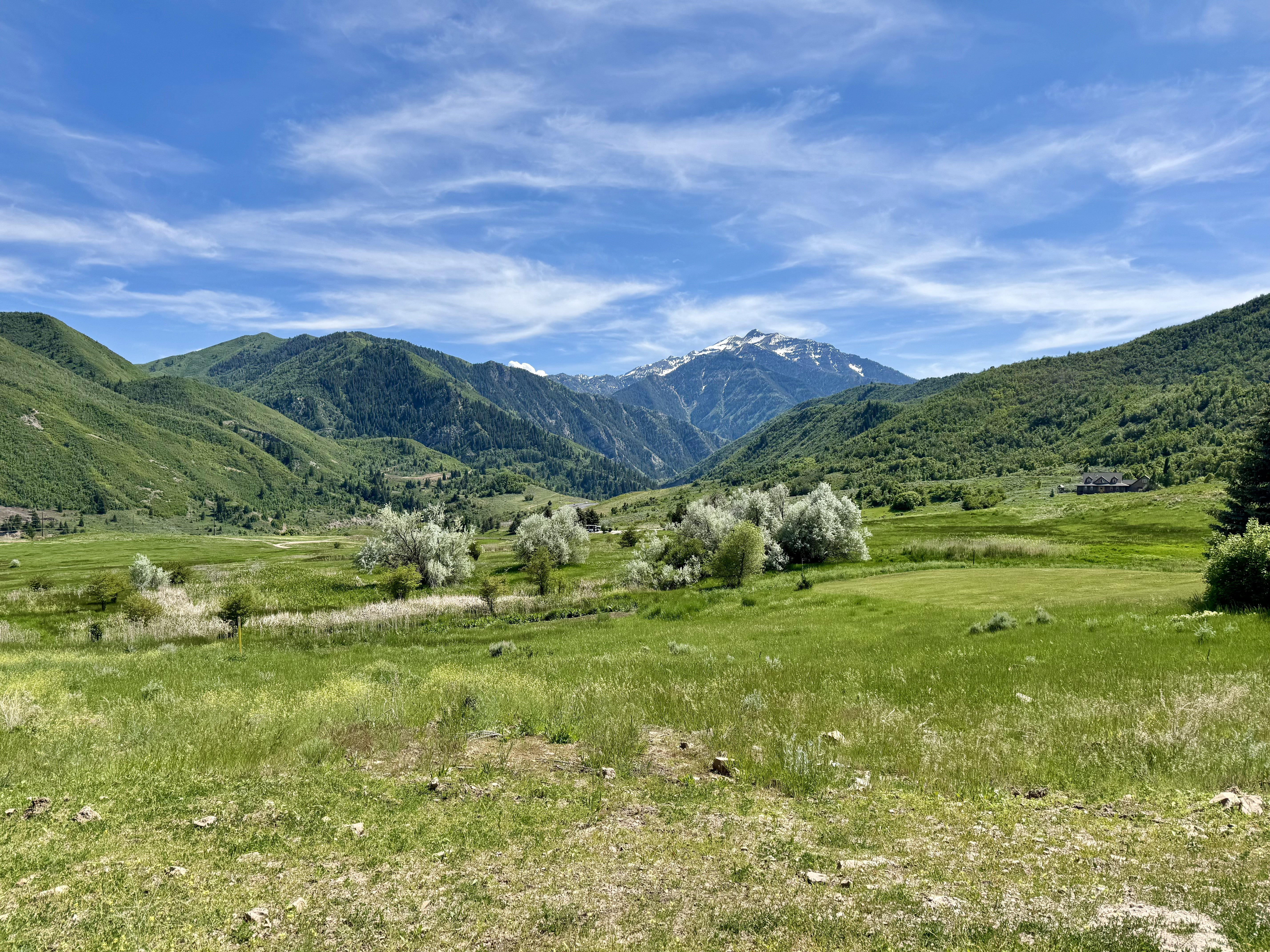 Expansive green landscape with distant mountains, including a snow-capped peak