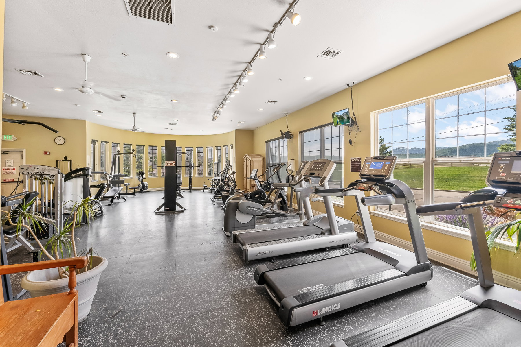 Dedicated fitness center featuring multiple treadmills, elliptical machines, and weight training equipment