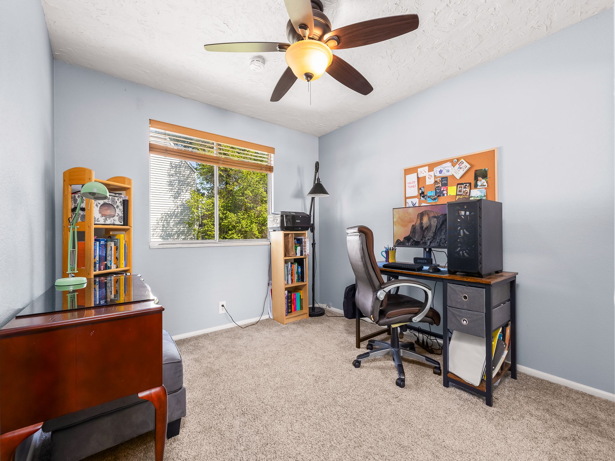 Light-filled room featuring a single window with wood-finish blinds, a ceiling fan with integrated lighting, and neutral carpeting