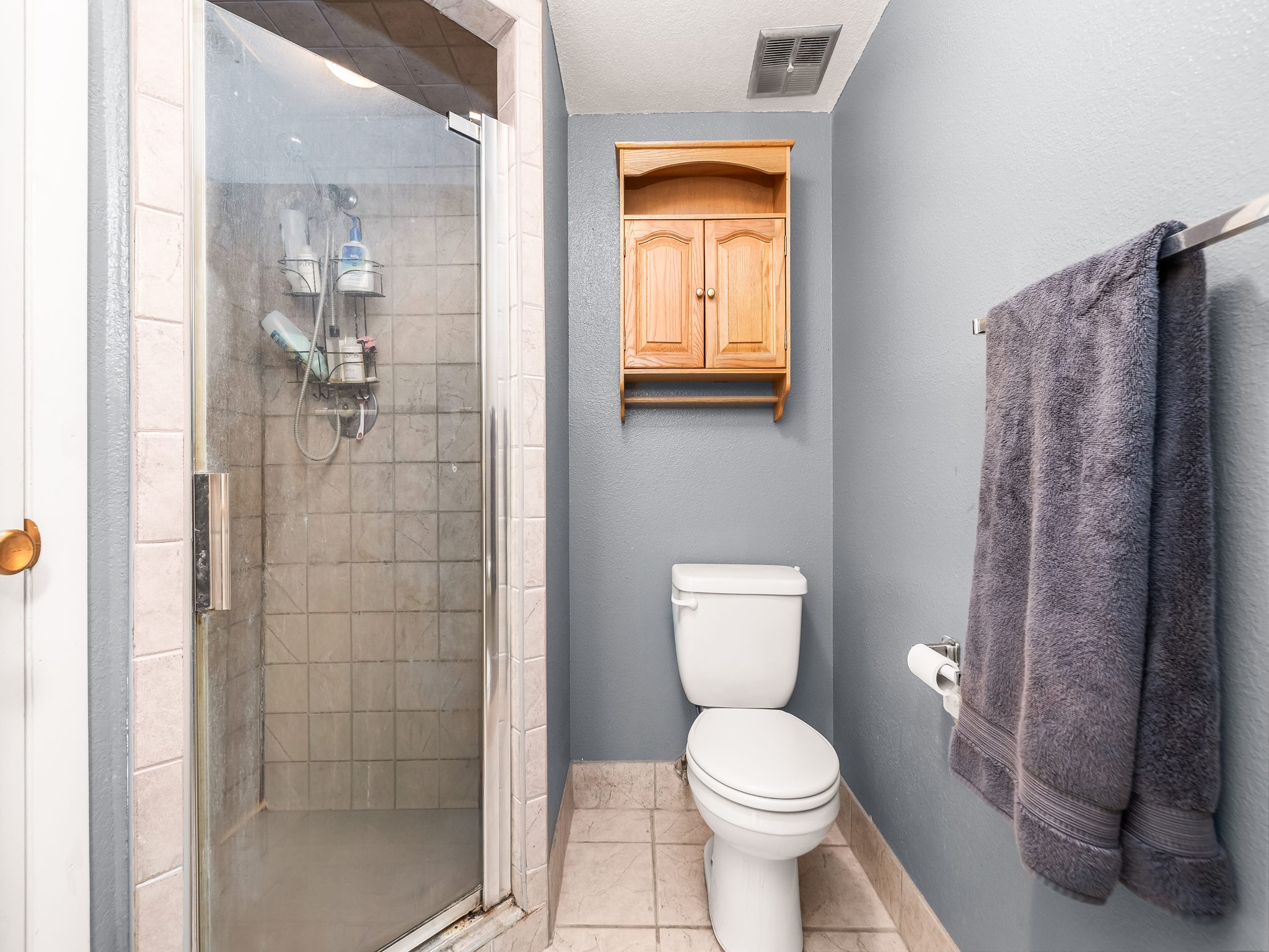 Tiled shower enclosure with a glass door, accompanied by a white toilet and a wall-mounted wood cabinet