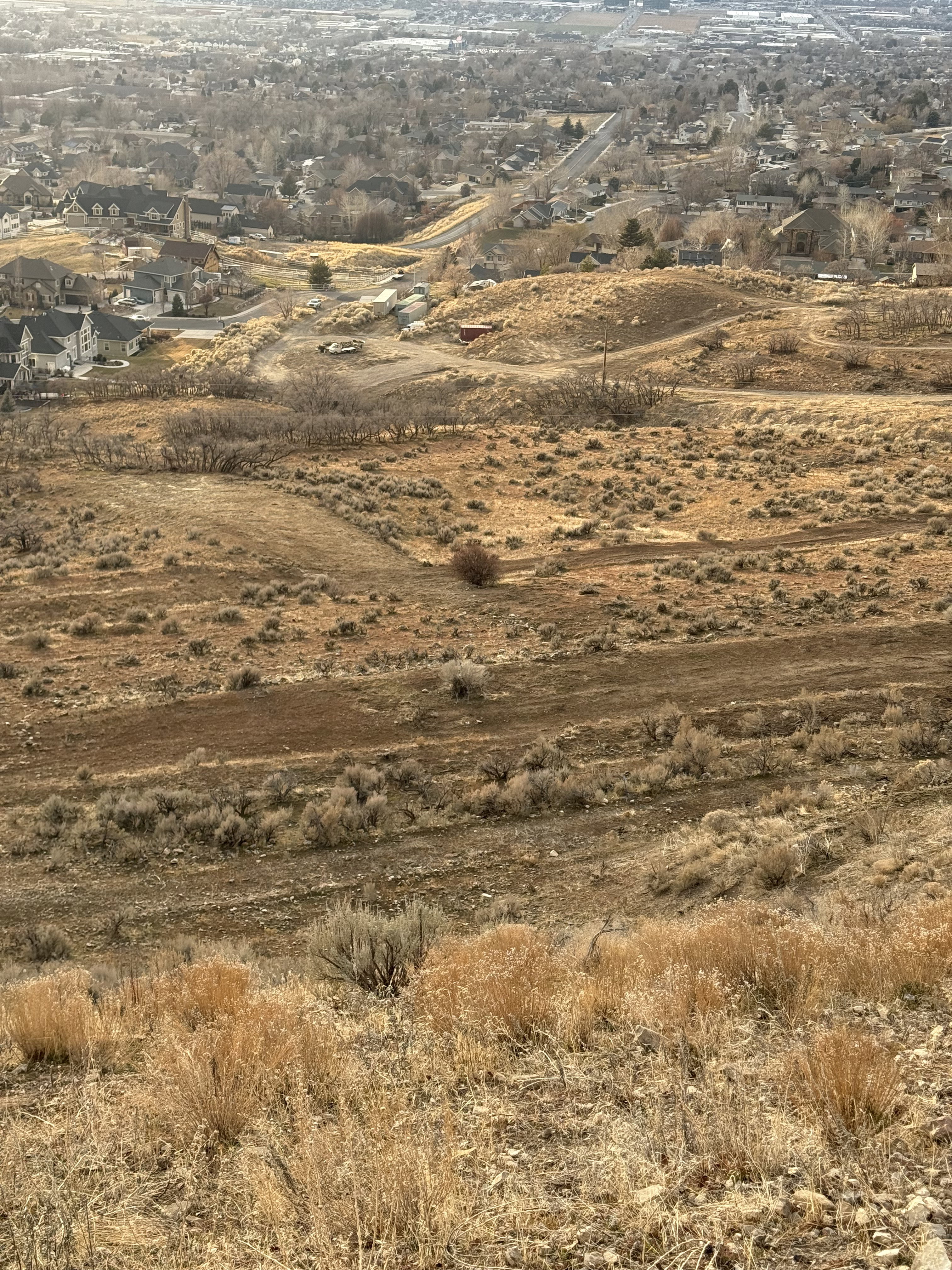 Sloping terrain with natural vegetation, offering distant urban and suburban scenery