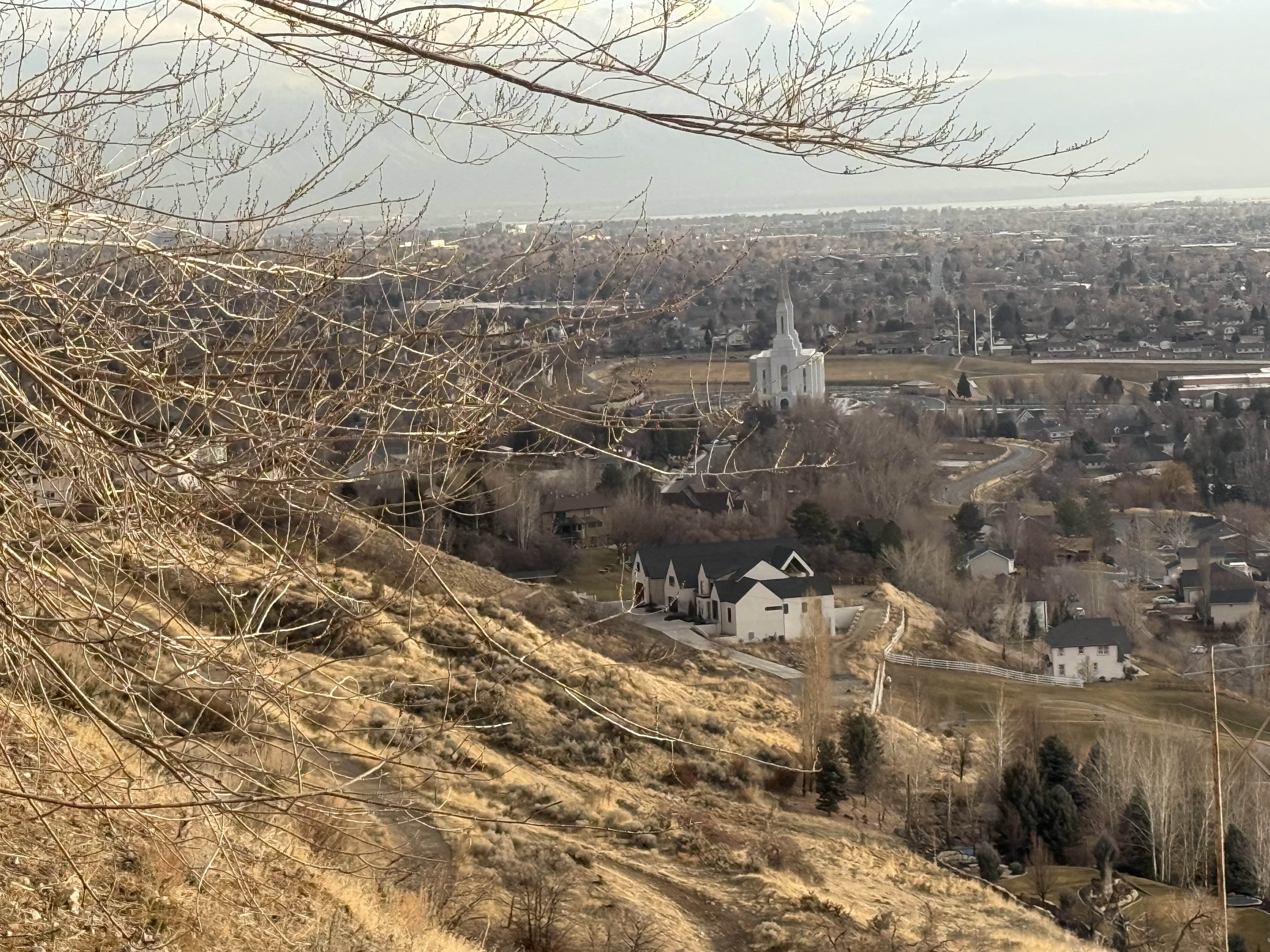 Expansive hillside property with substantial land, offering elevated placement and surrounding residential structures