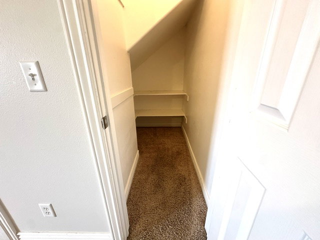 Compact under-stair storage area featuring neutral-toned carpet, white painted walls, and built-in shelving