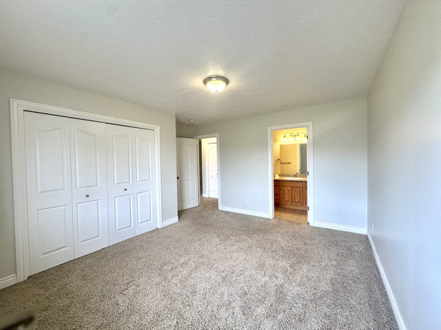 Carpeted interior space featuring light-colored walls and a ceiling-mounted light fixture