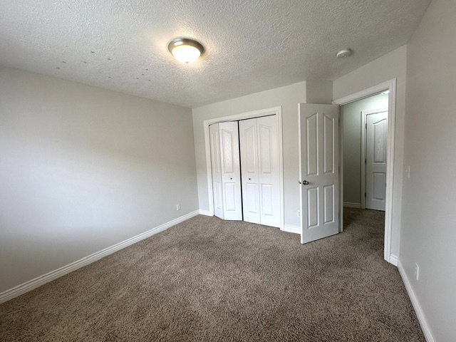 Carpeted room featuring light gray walls, white baseboards, and a semi-flush mount ceiling light