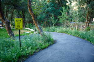 Paved pathway winding through mature trees and lush green landscaping