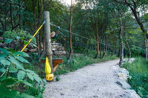 Woodland path with a gravel surface bordered by natural stone