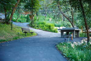 Paved pathway with accent lighting, surrounded by mature trees and lush greenery