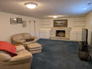 Basement living room with stone-clad fireplace, flanked by built-in lower cabinetry and open shelving