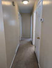Carpeted hallway featuring light neutral wall paint, white trim, and a flush mount ceiling light fixture