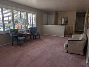 Spacious living room featuring a wall of shuttered windows, plush carpeting, and a built-in half-wall with a decorative metal railing