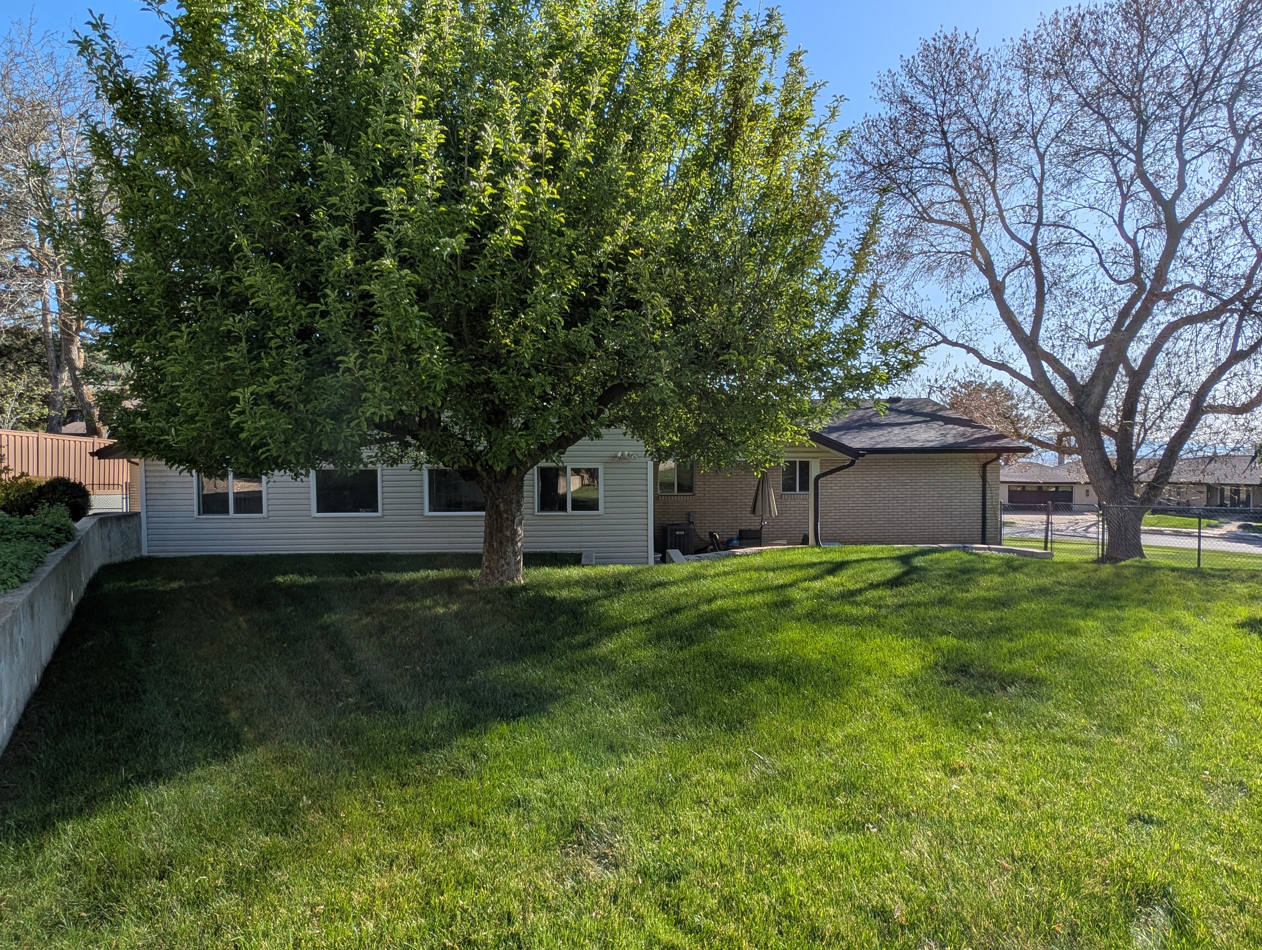 Spacious outdoor area featuring a large mature tree, sloped lawn, and concrete retaining wall
