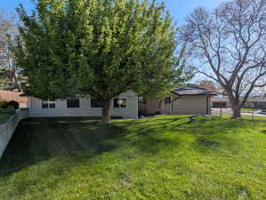 Spacious outdoor area featuring a large mature tree, sloped lawn, and concrete retaining wall