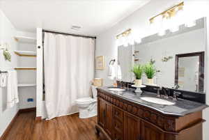 Basement Bathroom - Double vanity