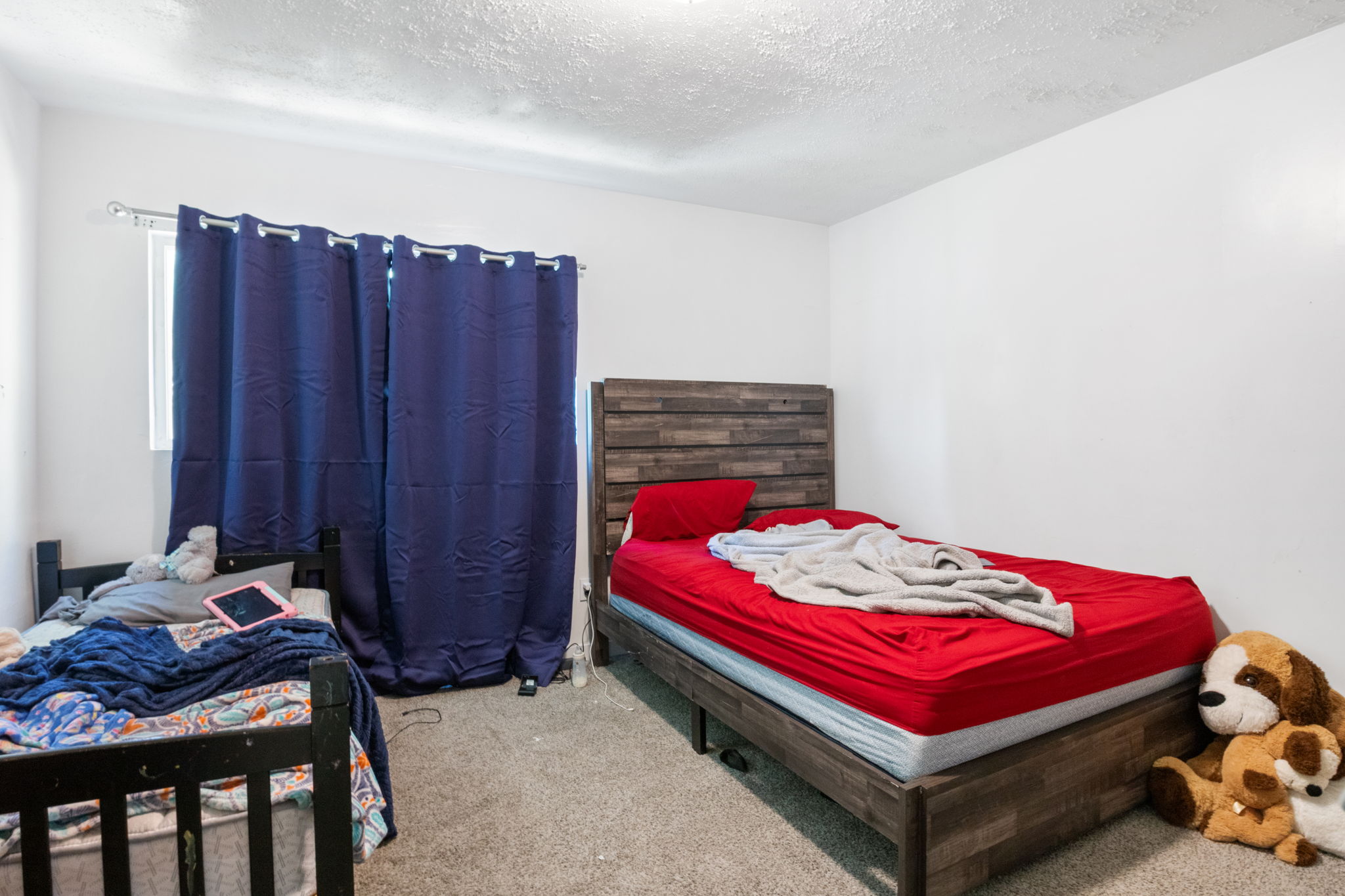 Carpeted interior room featuring a window with dark blue drapery