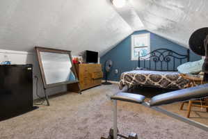 Carpeted room with sloped ceilings and a single window