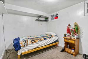 Carpeted room featuring a single window and built-in shelving