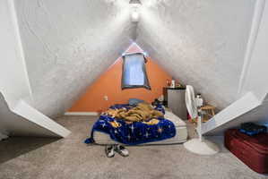 Carpeted attic space featuring sloped ceilings, a single window, and a built-in overhead light fixture
