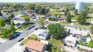 Residential neighborhood featuring mature trees, paved streets, and a variety of architectural styles