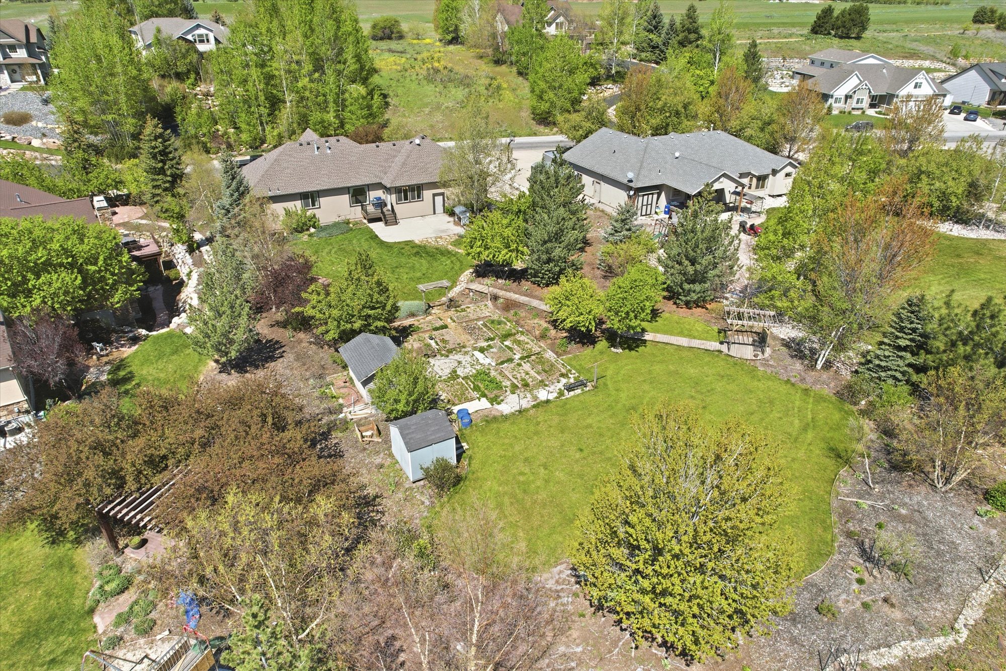 Expansive green lawn surrounded by mature trees and varied landscaping