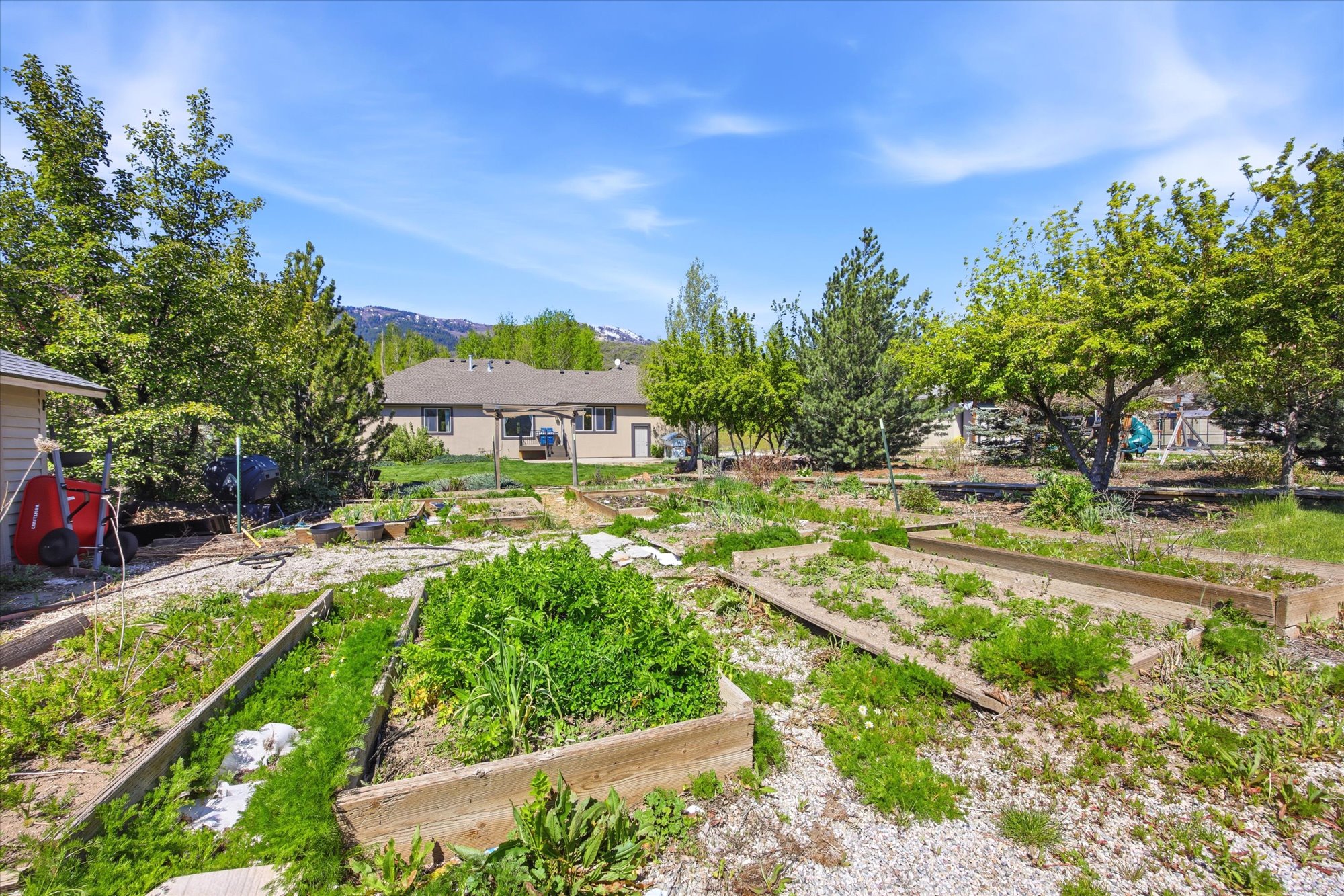 Multiple raised garden beds within a spacious yard featuring mature trees and a gravel pathway