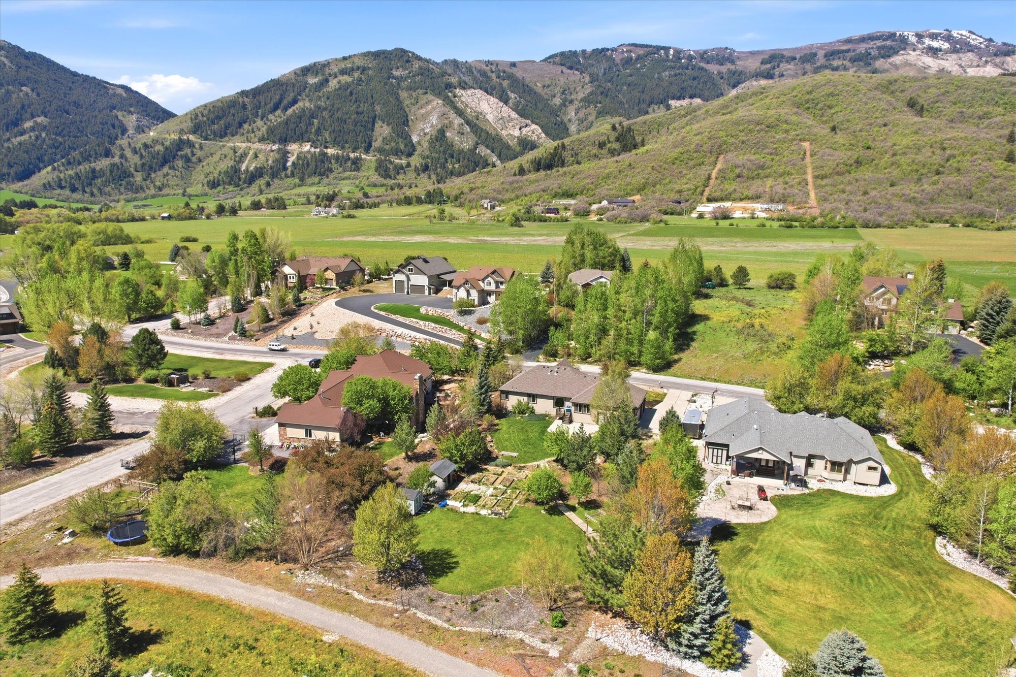 Expansive property featuring verdant lawns, mature trees, and a paved driveway