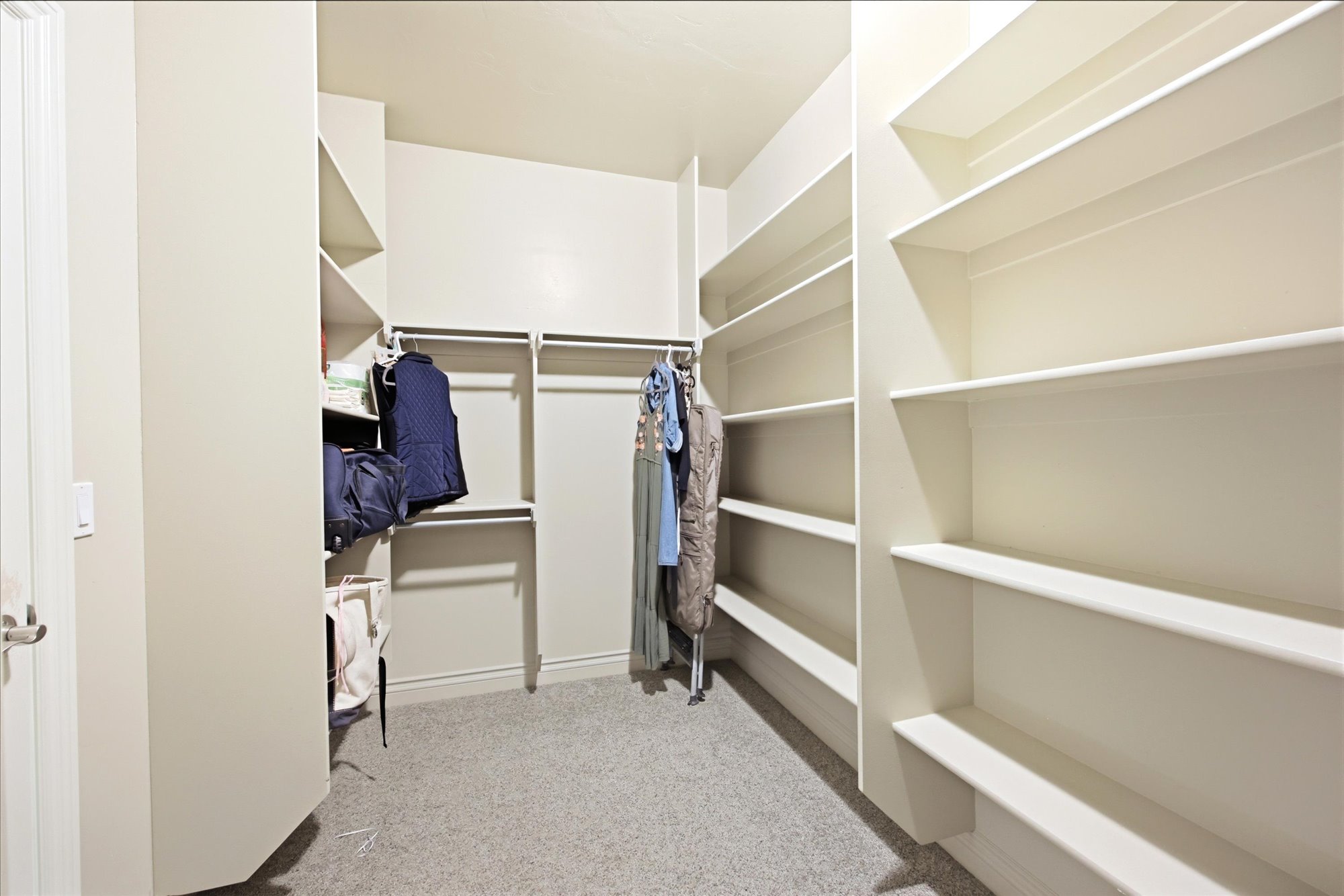 Walk-in closet featuring extensive built-in shelving, multiple hanging rods, and carpet flooring