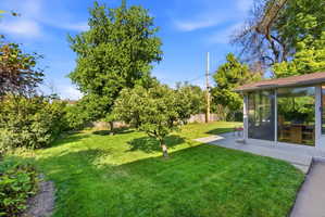 Expansive green lawn with mature trees and a sunroom featuring full-height windows and a glass door