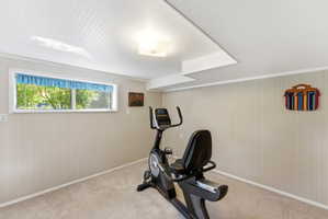 Recessed window offering natural light, carpeted flooring, and a white beadboard ceiling with flush-mount lighting