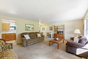 Carpeted living area featuring light-toned walls, a large window providing natural light, and a built-in wooden shelving unit