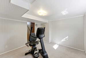 Finished room featuring light-toned carpet, paneled walls, and a dropped ceiling with recessed lighting