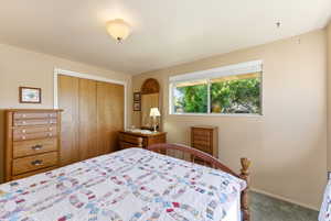 Room featuring a window with exterior tree views, bi-fold closet doors with wood-finish panels, a ceiling-mounted light fixture, neutral wall paint, and carpeting