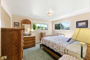 Carpeted bedroom featuring two large windows, a built-in closet with bi-fold doors, and a ceiling-mounted light fixture