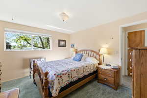 Carpeted bedroom featuring a wide window, ceiling-mounted light fixture, and a solid wood paneled door