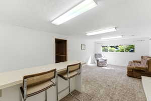 Finished room featuring a built-in bar, white paneled walls, and carpet flooring