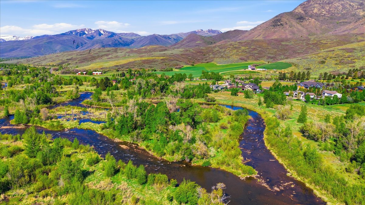 Meandering river system bordered by lush green foliage and distant snow-capped mountains