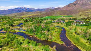 Meandering river system bordered by lush green foliage and distant snow-capped mountains
