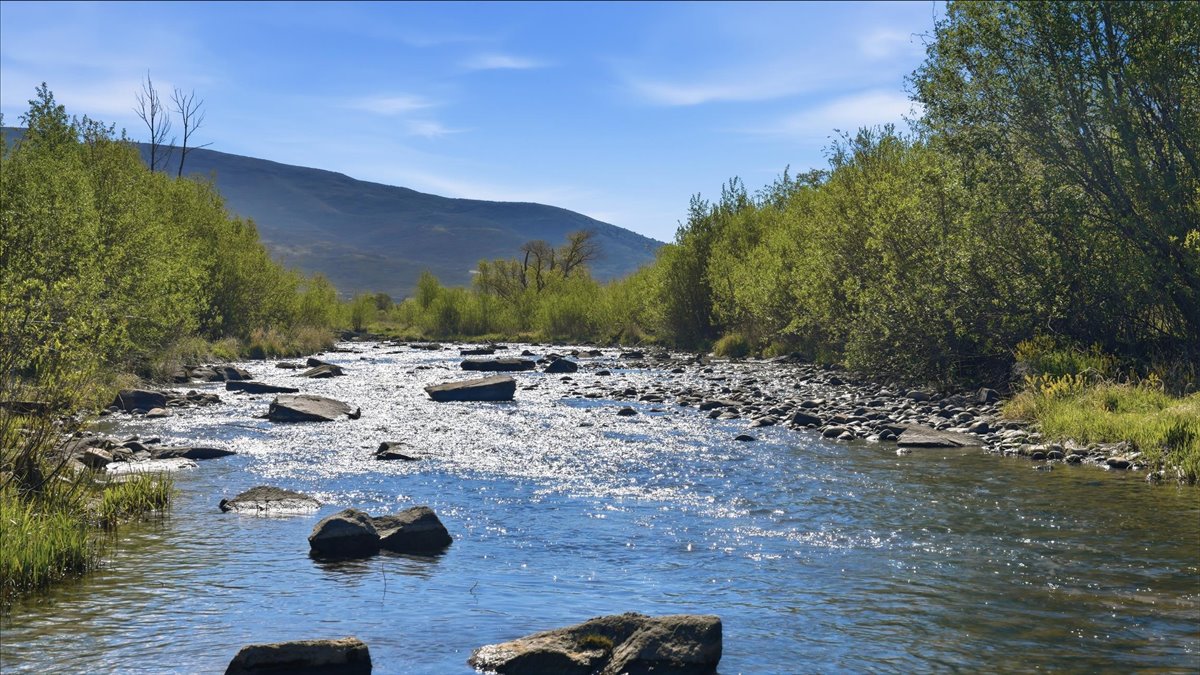 River frontage featuring a clear, flowing stream with scattered rocks, bordered by lush green foliage and distant mountains under a bright blue sky