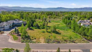 Expansive land parcel featuring open green space, mature trees, mountain backdrop, and paved road frontage