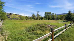 Expansive green space featuring natural vegetation and a rustic split-rail fence