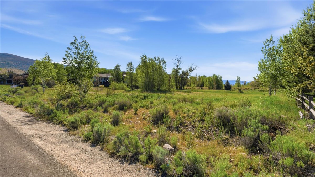 Expansive undeveloped lot featuring diverse natural landscaping, mature trees, and a wooden fence boundary