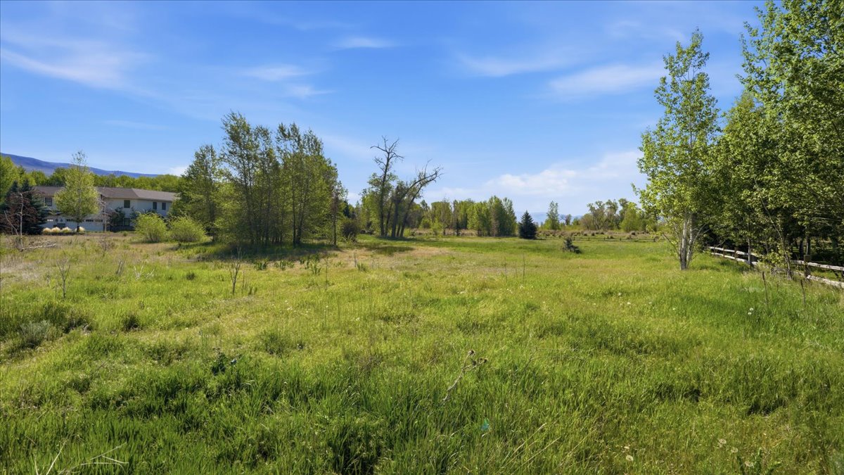 Expansive green landscape featuring mature trees and distant mountain ranges