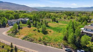Expansive property featuring a large residence, a paved circular driveway, mature trees, open green spaces, and mountain scenery
