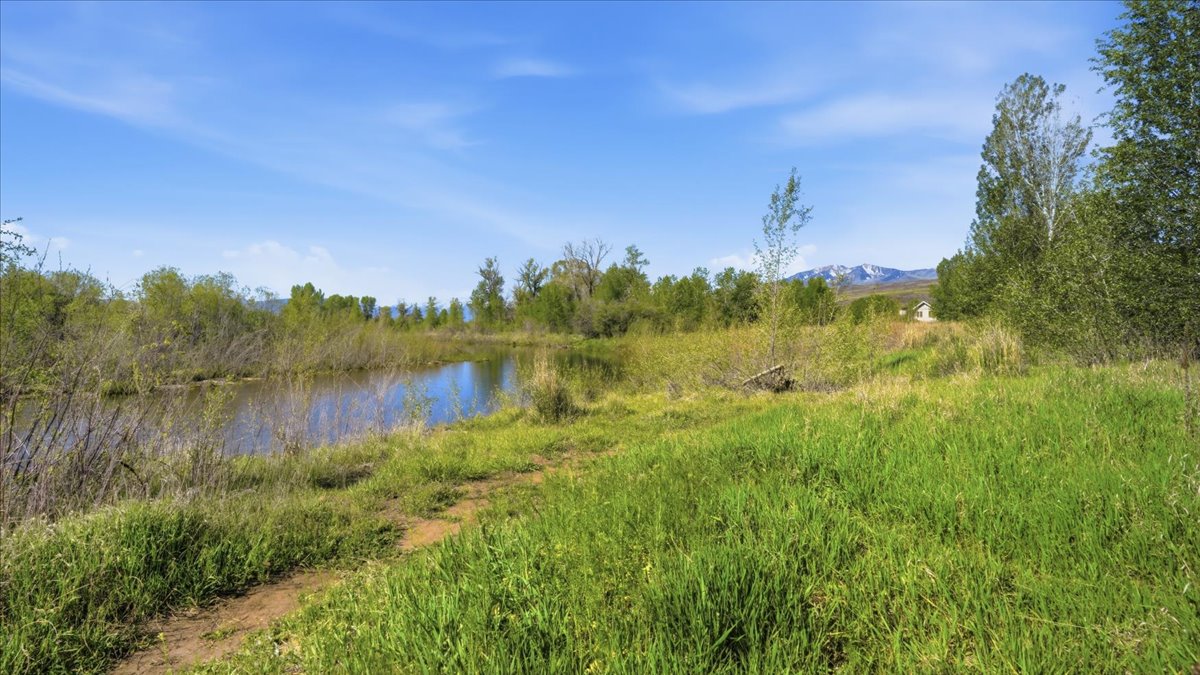 Natural water feature surrounded by lush vegetation and a clear blue sky